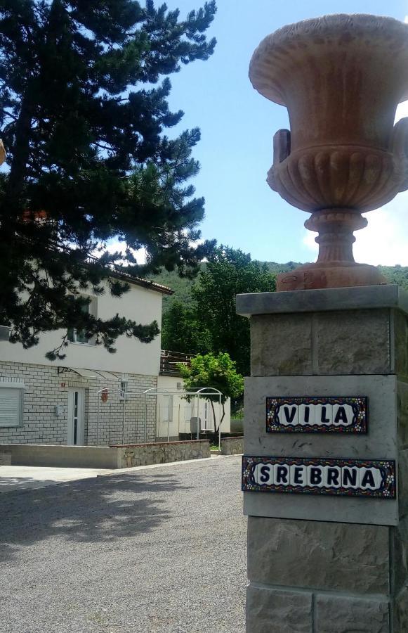 Divaca, Vila Srebrna Екстериор снимка
